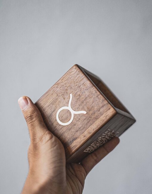 Pen Holder hold in hand