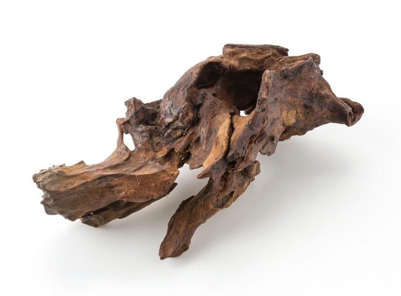 beautiful-log